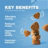 Hemp Calming Chews for Dogs Anxiety Dog Calming Treats with Melatonin Valerian Root Chamomile Extract & Vitamin B Complex Canine Chews for Vet Visits
